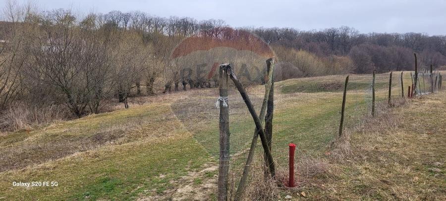 Teren 2925 mp comuna Mitocu Dragomirnei - 5