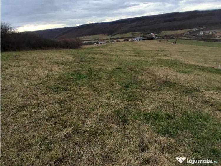 RECO Teren intravilan 5487 mp cu dublu front stradal-zona Be - 1