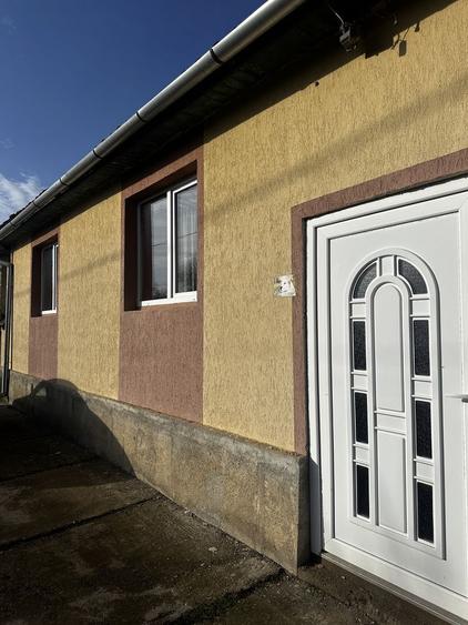 Casa de vanzare in Suplacu de Tinca 1 ha teren - 8