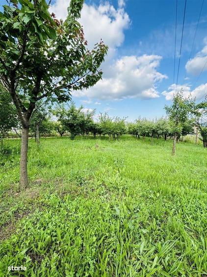 Vila Cu 14 Camere Si 3405 Mp Teren In Sanmartin - 14