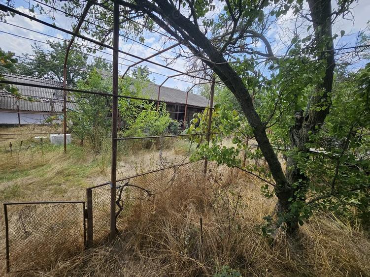 Gospodarie cu 2 case Comuna Trivale Mosteni, sat , la 30 km de Alexandria, jude?ul Teleorman - 4