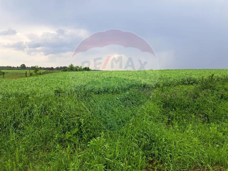 Teren Ciolpani 15.000 mp oportunitate posibilitate lotizare 5000 mp - 9