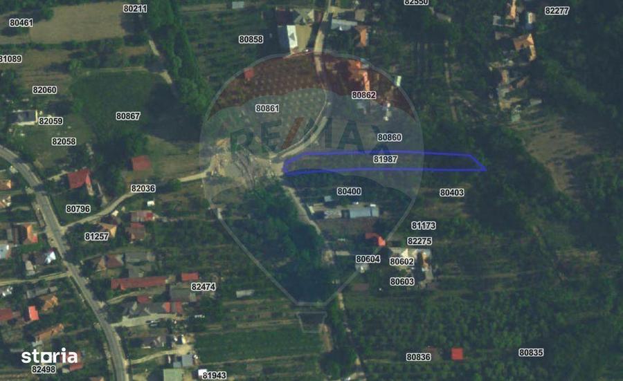 Teren intravilan 1736mp com. Bogati (Arges) drum asfaltat, utilitati - 9