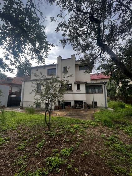 Casa centrala Campina - 3