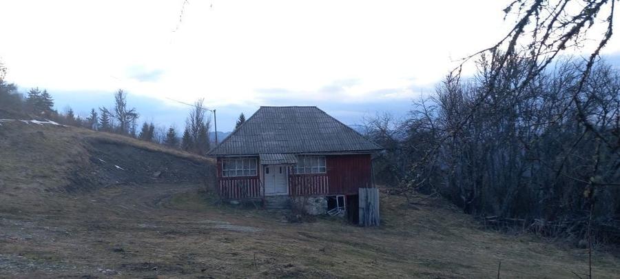 Casa de vanzare muntii apuseni - 3