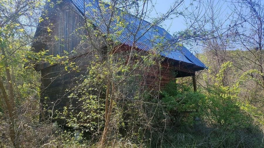 Teren de vis în Stejeriș – utilități, natură, acces rapid! - 4