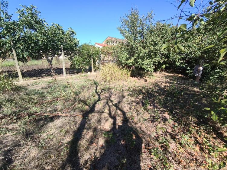 Casă Tradițională cu Teren Generos în Valu lui Traian - 10