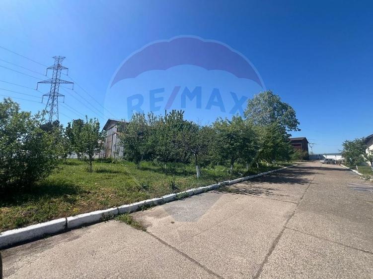 Spatiu industrial Campineanca - 4