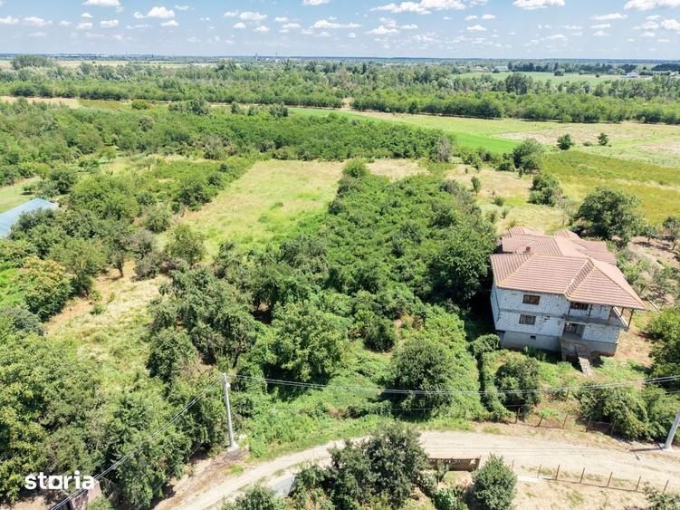 Curte 3200 mp Bolintin Vale, intravilan, intre case - 8