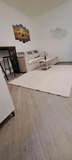 inchiriez apartament 1 camera, zona Iosefin, - 4