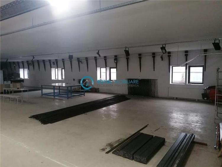 Royal Imobiliare - Vanzare Spatiu de productie Albesti Paleologu - 6