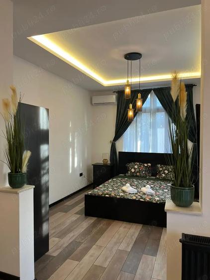 Stefan cel Mare , Lacul Tei in vila - 2