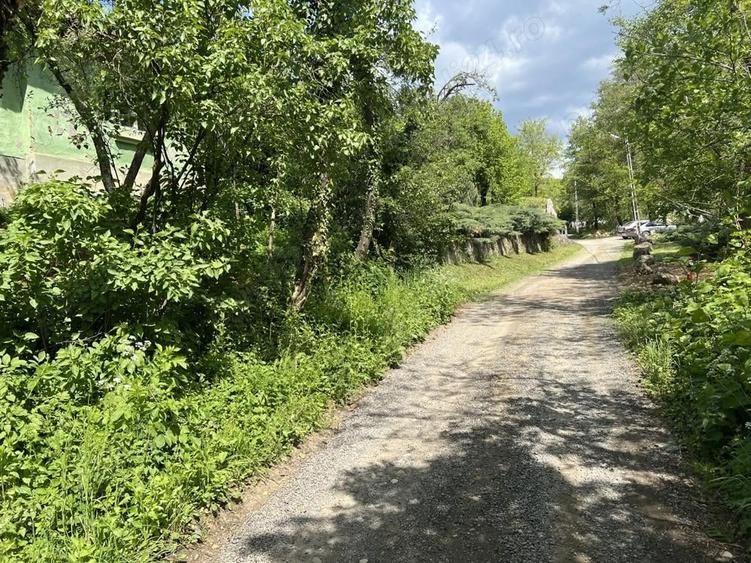 Vand casa cu teren ?i livada in Seini, cu priveli?te de poveste - 10