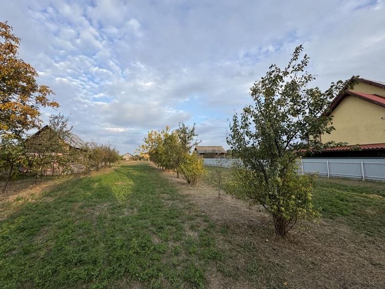 Teren Intravilan Becicherecu Mic In Vatra Satului,1104 mp,Fs. 14m - 2