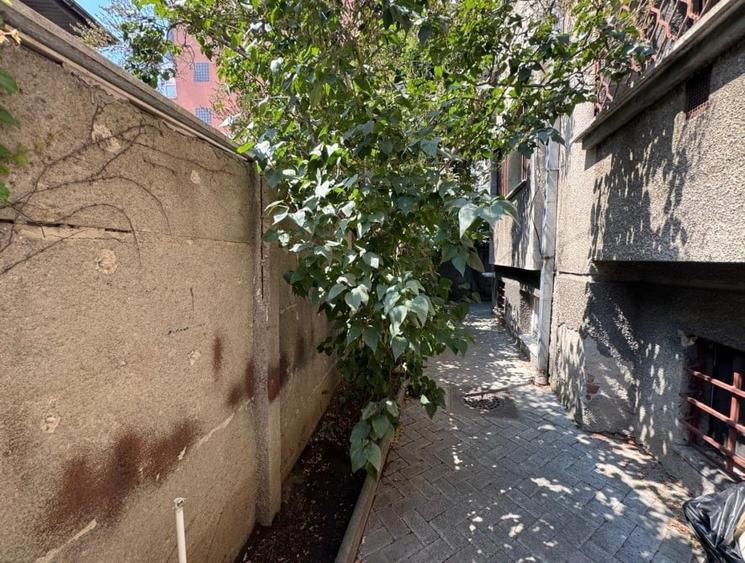 Primaverii, spațiu business versatil cu 3 camere, metrou 8 minute - 7