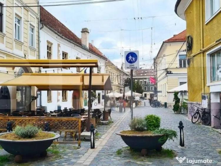 Spatiu comercial 220mp, alimentatie publica, Piata Muzeului - 9