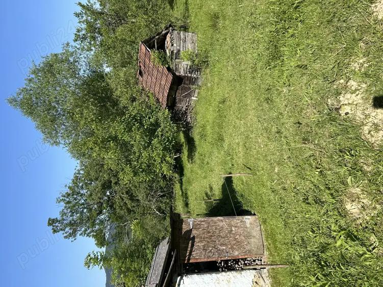 Vand casa de caramida sat Bodesti -comuna Halmagiu Arad - 3