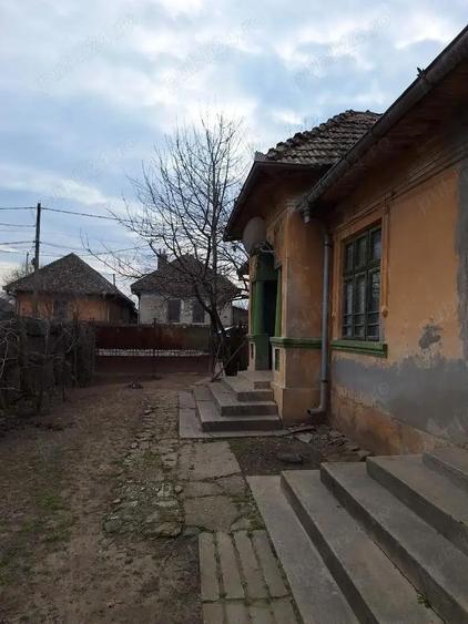 Vand casa in com.Poiana Mare,jud.Dolj - 5