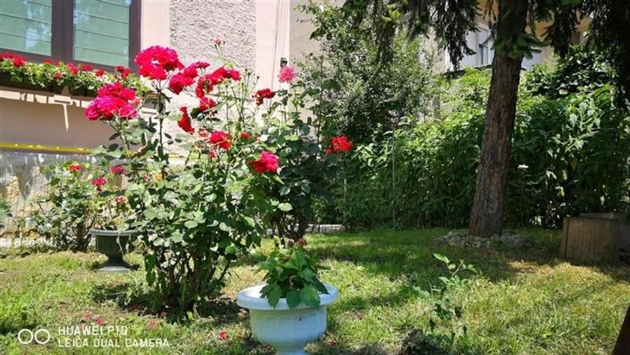 Apartament 2 camere | 65 mp | gradina | Centru | zona Parcul Central - 19