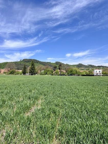 Teren de vanzare Brasov | Intravilan | Zarnesti 1150m2 - 7