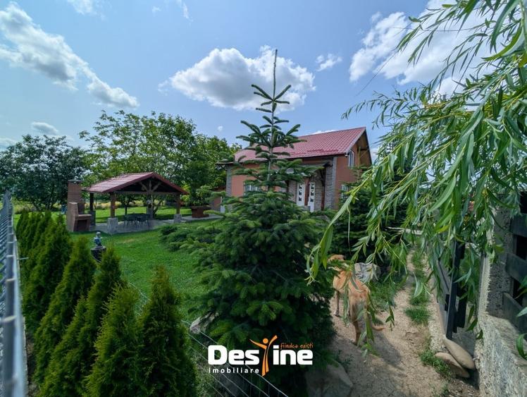 Valea Adanca - Casa individuala P+M 124 mp utili 1000 mp Teren - 16