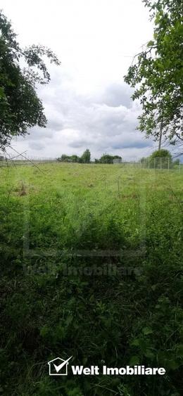 Casa noua si teren mare la 40 min de Cluj-N, Livada(Petrestii de Jos) - 7