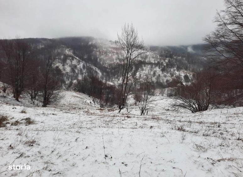 Teren extravilan , 2746 metri Cod:142788 - 1