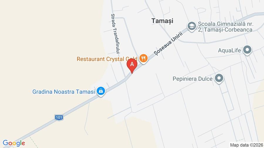 Teren De Vanzare Tamasi Corbeanca - 1