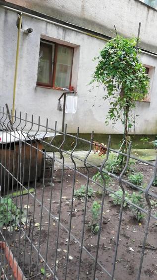Apartament cu 1 cameră  - 7