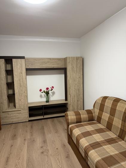 Drumul Taberei Raul Doamnei vanzare 2 camere mobilat - 2