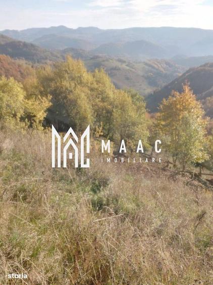 Super oferta 35000 teren in Muntii Apuseni - 6