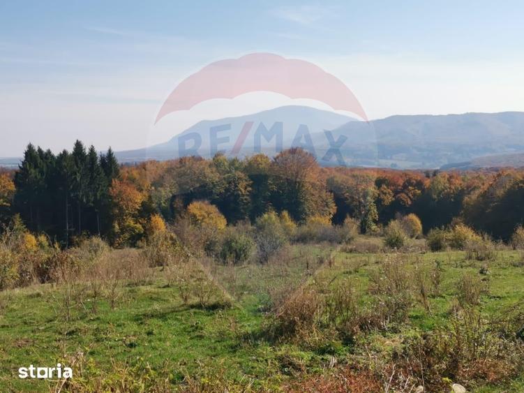 Teren de 5400 mp, în Mănești