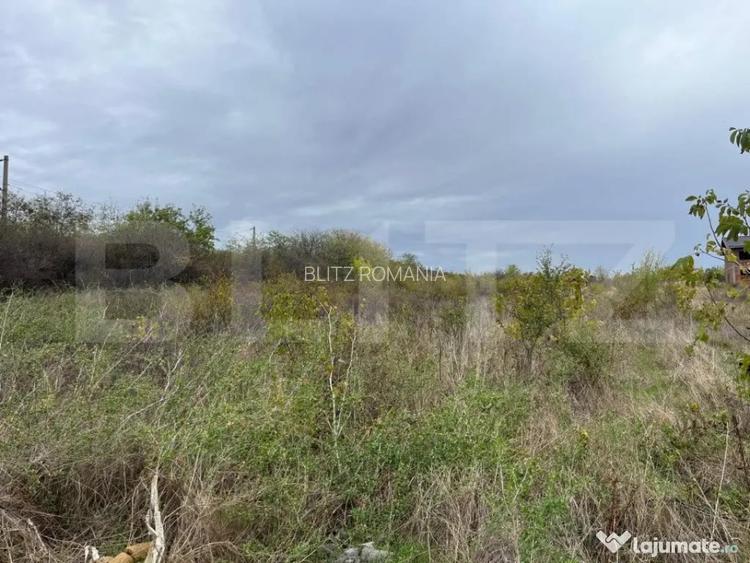 Teren 3400 mp, zona Carcea la E70/str Craiovei - Craiova (Dolj)