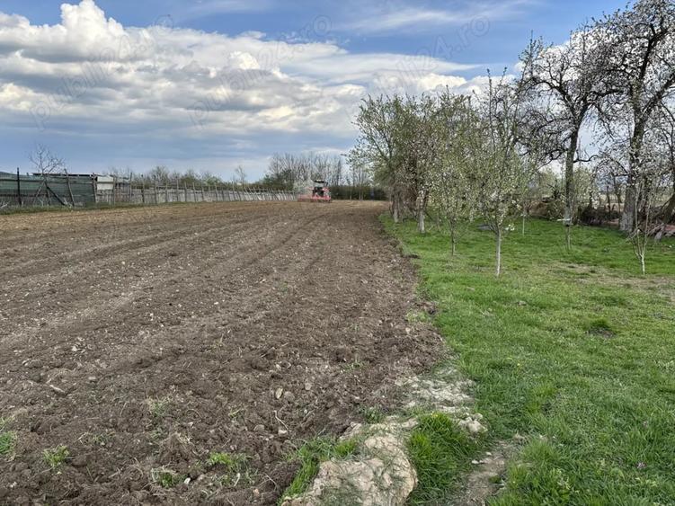 Casă cu 3 camere în Cociuba Mare