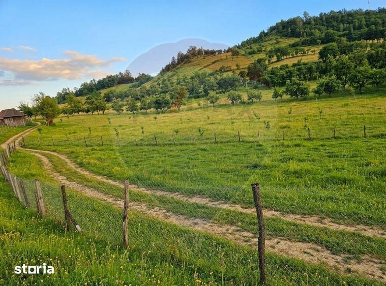 Teren de 4301 mp, în Bârsana