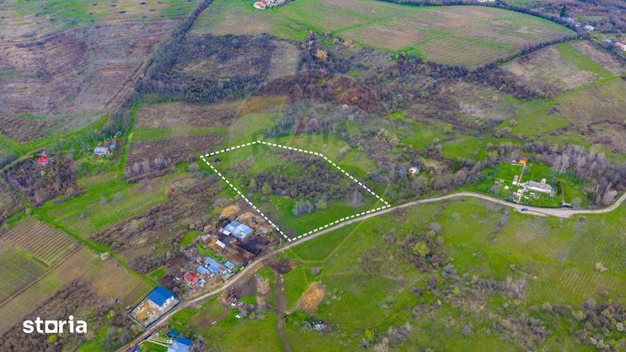 Teren de 33500 mp, în Bucov