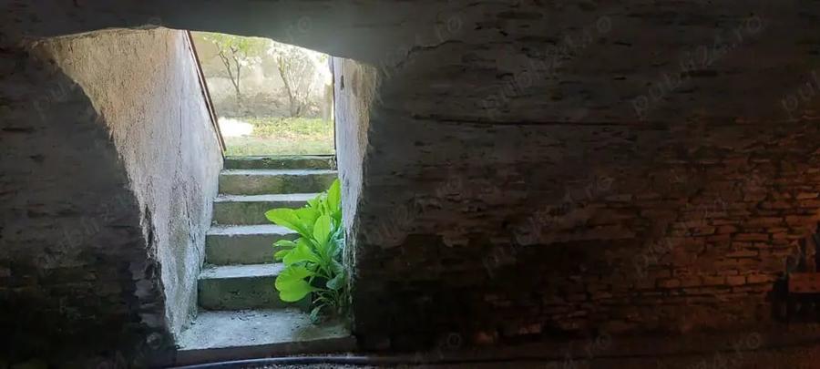 Casă cu 5 camere cu Teren 2500 Mp în Bod