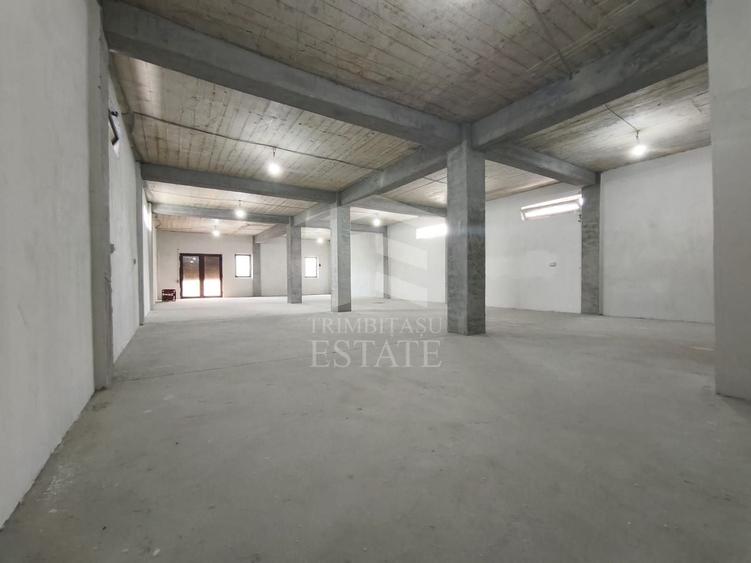 Casă cu 10 camere cu Canalizare în Lumina