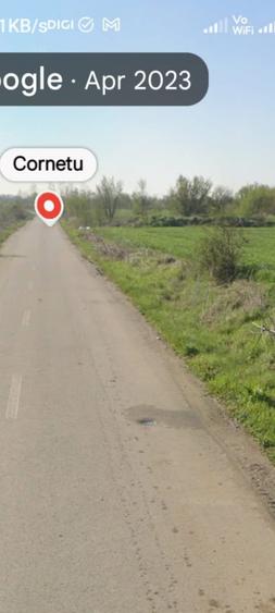 Vanzare teren 4500 mp in apropiere de Aerodromul Clinceni Loc Cornetu-Ilfov - 3