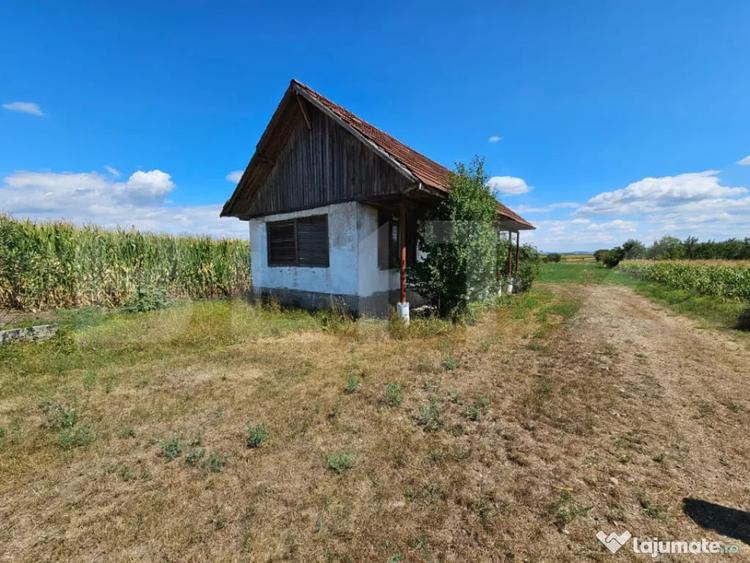 Teren extravilan 2.901 mp cu casa ?i utilita?i Unire - 7
