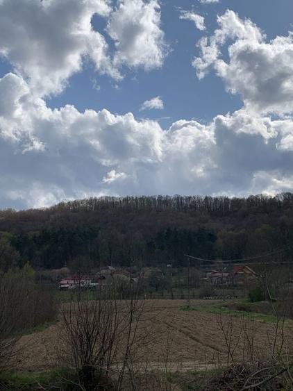 Vand teren retras, deosebit - 1