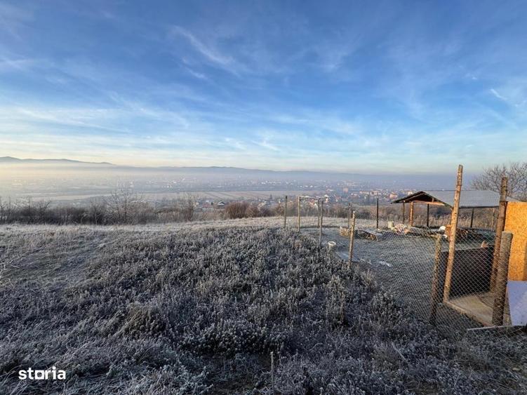 Teren de vanzare in Gusterita, cu acces asfaltat - 1