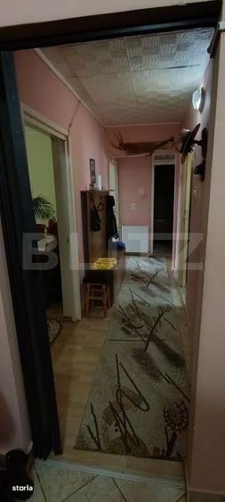 Apartament 3 camere, 2 bai, mobilat, central Ludus - 3