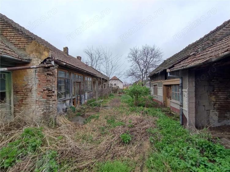 Iecea Mare - Timis, Casa cu Gradina, 1800mp Teren, Pret Negociabil - 18