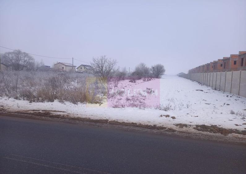 Teren Domnesti 12300 mp de vanzare sau asociere - 1