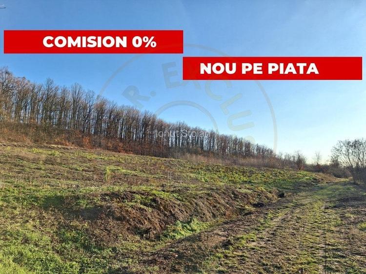Teren Construcții intravilan de 5726 mp, în Est
