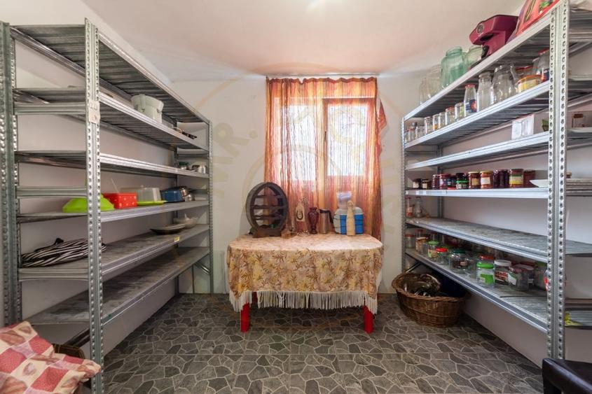 Casa parter + 3.055 mp teren in Costesti - 8