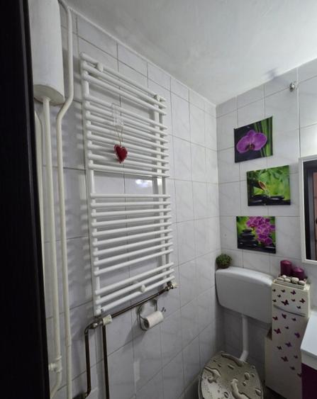 Apartament 3 camere, Dr. Taberei - 14