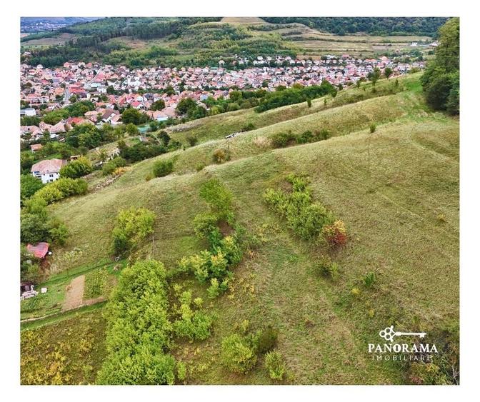 Teren intravilan de aproape 3 ha la liziera pădurii | cartierul Gloria - 4