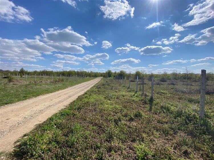 RECO Teren intravilan in  Paleu 6178mp - 2